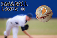 Baseball club - TJ Lokomotiva Louny