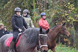 Horse riding club Louny