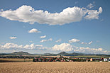 Louny from water tower