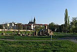 The stone forest