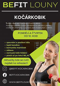 KOČÁRKOBIK
